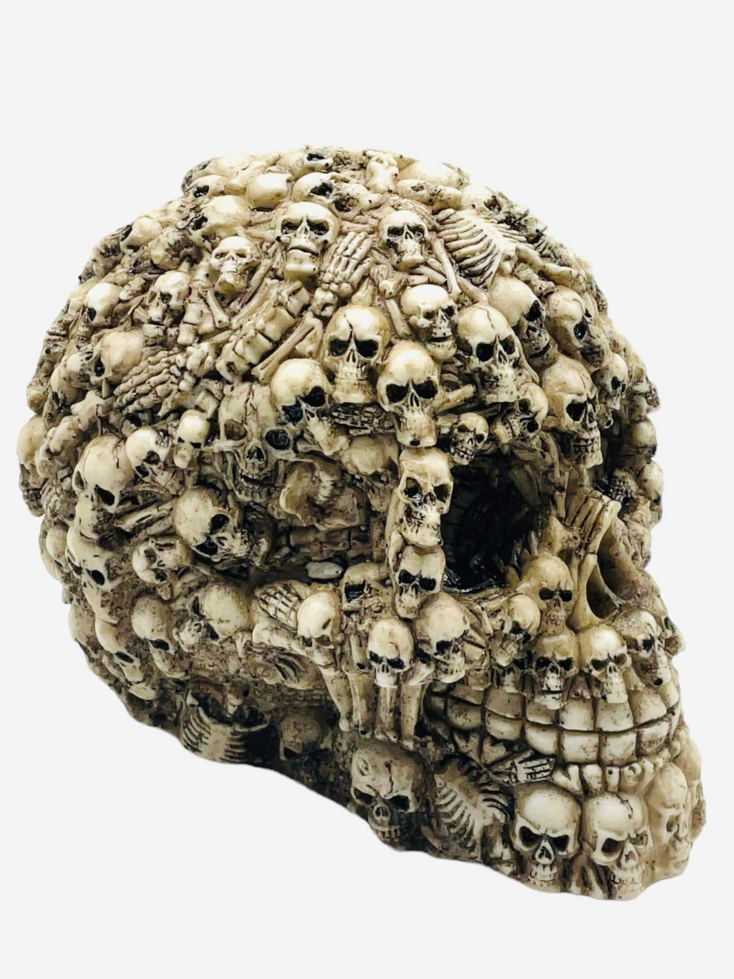 Boneyard Skeleton Skull Decor