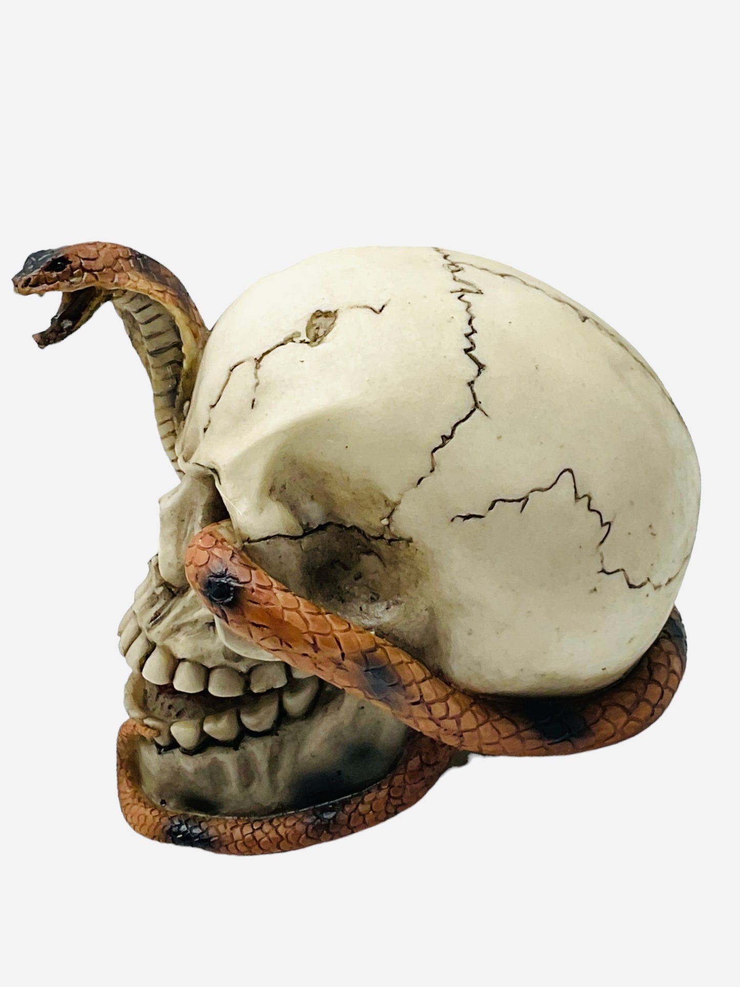 Cobra Skull (3.5”x4.5”)