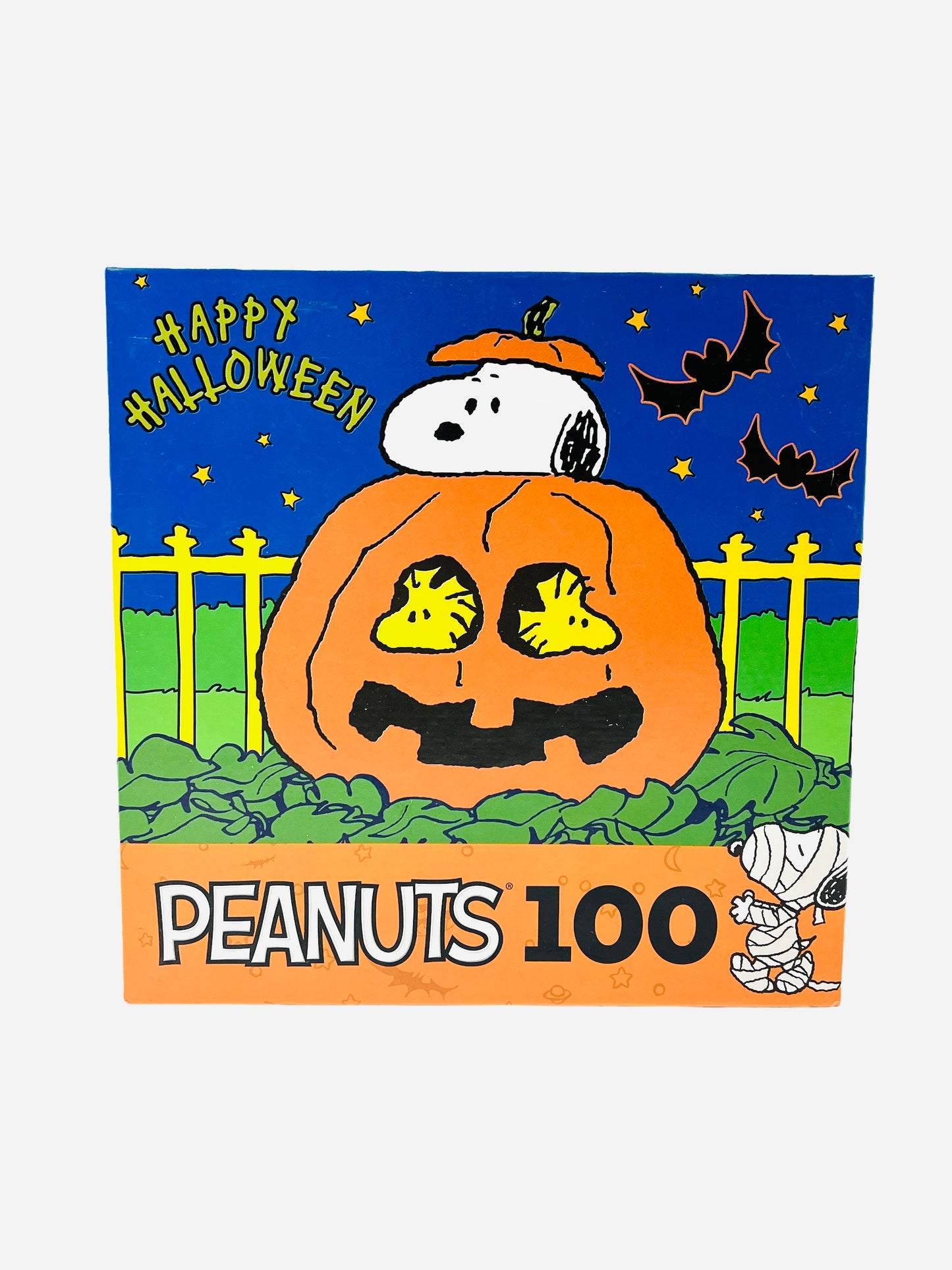 Peanuts Halloween/Fall 100 Piece Puzzle Choose Your Puzzle