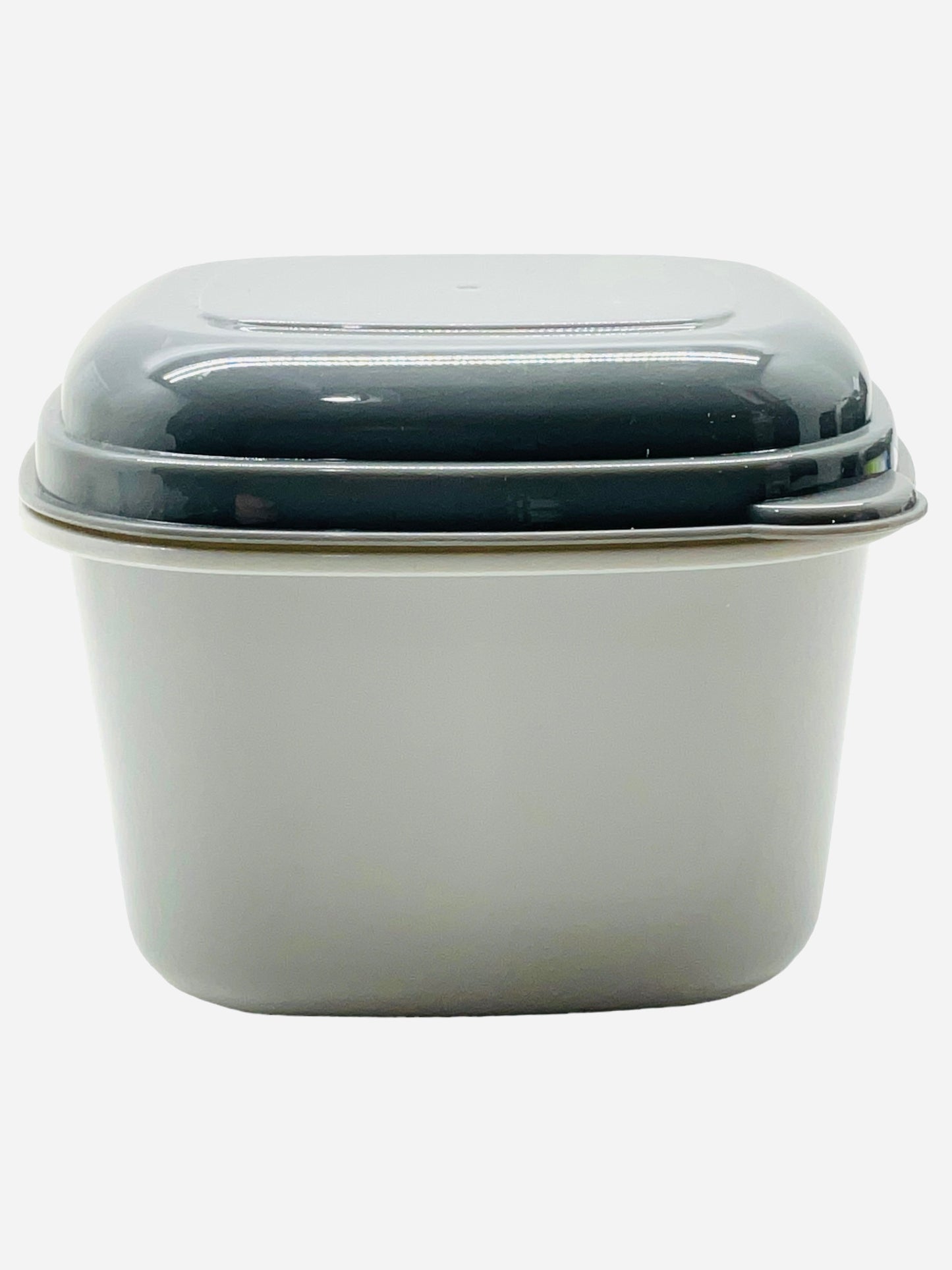 Fresh and Store Container & Lid Removable Ice Pack(1.69 cups, 13.3 fl oz)